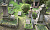 Der j&uuml;dische Friedhof in Heiligenstadt.