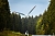 Windm&uuml;hle im Wald