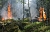 Symbolbild Waldbrand
