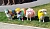 Bunte Schafe in Leinefelde Worbis