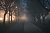 Nebel (Symbolbild)