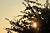 Wetterbild