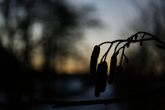 Wetter-Bild (Foto: Gernot Thelemann)