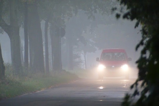 Der Herbst birgt Gefahren im Stra&szlig;enverkehr (Foto: ADAC)